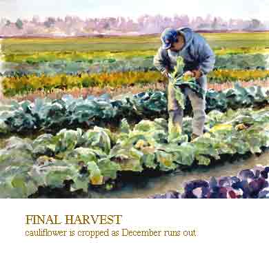 finalharvest